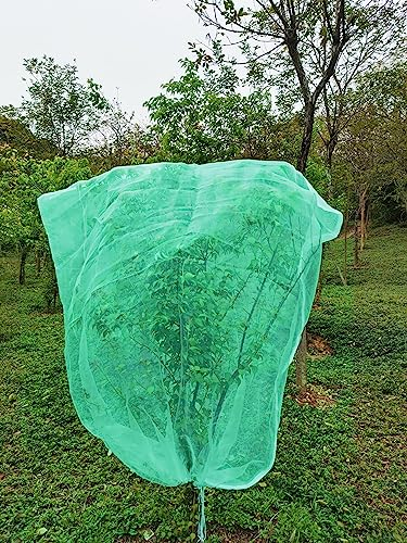 LINSOCLE Mallas para Arboles Frutales, Bolsas Protección Frutales 180cm X 180cm, Red de Proteccion contra Insectos y pajaros Proteger Flores y Frutas de Una Variedad de Plagas (‎Verde)