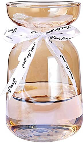 BERTY·PUYI Jarrones De Vidrio Transparente con Cuerda De Seda, Jarrones Modernos Bud Sweet Pea Jarrón para Orquídeas En La Mesa De Escritorio Decoración Interior del Alféizar De La Ventana-Amber