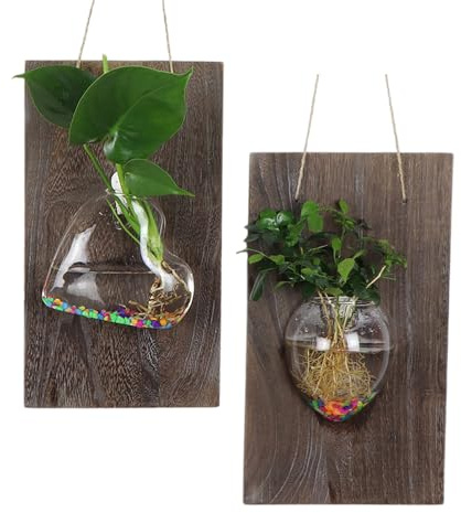 2 Maceteros de Cristal para Colgar en la Pared, Estación de Propagación de Plantas, Florero de Cristal, Jarrones para Colgar en la Pared para (jarrón de ratón + jarrón de corazón)