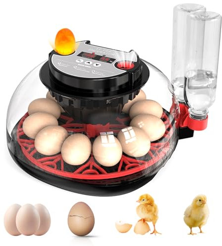 Brutautomat Vollautomatisch Eierinkubator 12 Eier mit Wasserversorgung,Automatischem Eierwender und Temperaturkontrolle Feuchtigkeit Inkubator Brutmaschine für Hühner,Wachtel,Enten