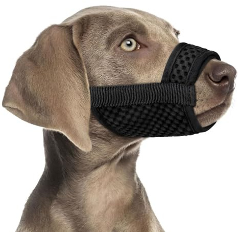 XFSRG Muselière pour Chiens Muselière Souple Réglable Respirantes Empêchent Prévient L'aboiement, D'ingérer des débris et Mordre Un étranger