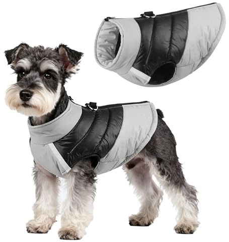 Hundejacke für Kleine Mittelgroße Hunde, Winter Warmer Hundemantel mit Double-D-Ring, Welpen Hunde Winddichte Outdoor Skifahren Mantel Jacke Weste Bekleidung (Grau, S)