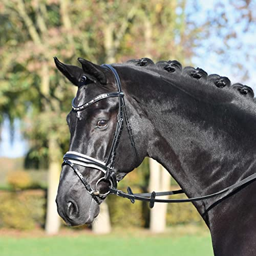 Busse