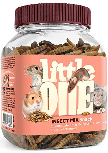 Little One Insektenmischung | 75 g | Ergänzungsfuttermittel für Hamster, Ratten, Mäuse, Rennmäuse, Igel und Zuckergleiter | Zur Unterstützung des Wohlbefindens | Proteinreich