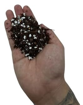 Sustrato Crasas PREMIUM Formato 5 Litros Suelo para Plantas Suculentas y Cactus