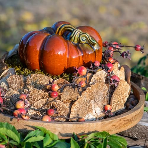 Natürliche Deko Baumschwamm getrocknet 1kg für Herbstdeko