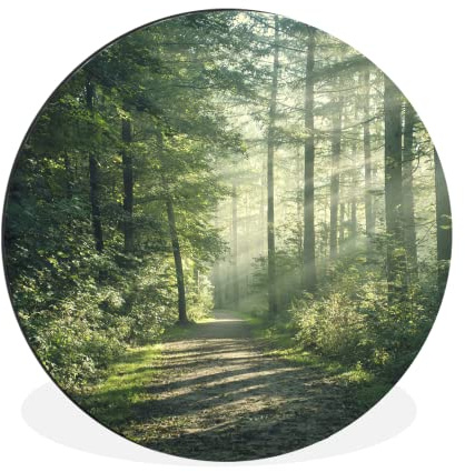 MuchoWow Wandbild Rund Wanddeko Deko Wohnzimmer Bilder 90x90 cm Wald - Weg - Sonne - Bäume - Grün - Natur