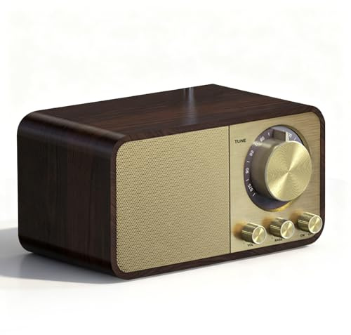 Plyisty Enceinte Bluetooth Rétro, Décoration Vintage, Enceinte Bluetooth 5.0 sans Fil, Prise en Charge USB/Petite Carte Mémoire, pour Cuisine, Bureau, Chambre, Bureau (Modèle Vintage)