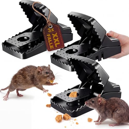 Hestya Piège à Rats XXL (21 cm) – Lot de 3 pièges à Ressort Extra Larges sans Poison – Piège à Rats réutilisable en Plastique et Acier Robustes pour la Maison, la Cave, Garage, Le Jardin et la Grange