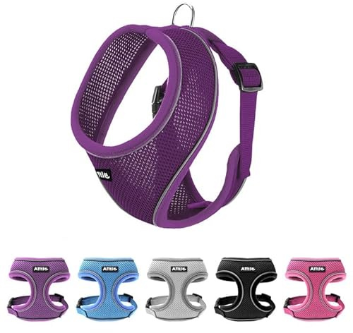 AIITLE Small Dog Harness, Triple-Layer Breathable Mesh, Adjustable Fit & Reflective Design, Choke-Free Over-The-Head Vest for Indoor/Outdoor Use, Perfect for Maltese, Chihuahua (S, Purple)