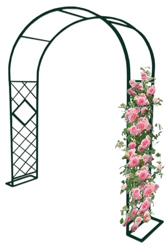 Arche de jardin en métal pour plantes grimpantes et roses - Treillage de 2,30 m de haut - Vert foncé - Décoration extérieure pour balcon et jardin (l 300 x H 230 cm)