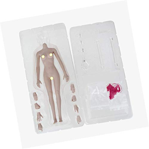Tenlacum Fexible sömlös kvinna 1/6 figur kropp blekt hud medium byst för 12 tum Phicen Kumik huvudskulptur (#1)