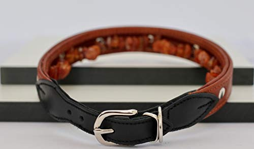 generisch Hundehalsband aus Leder mit natürlichem Baltischen Bernstein | Bernsteinkette für Hunde | Zeckenhalsband (50-56 cm)