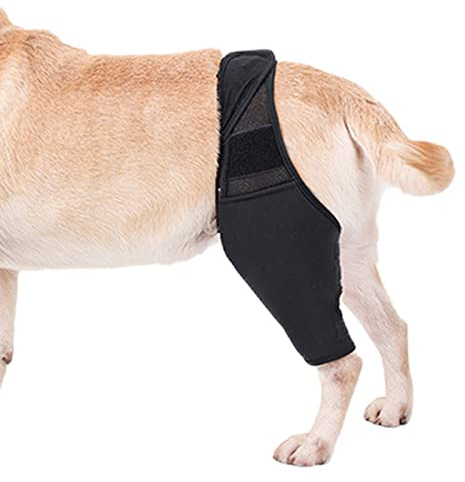 Gelenkstütze 'Hüfte des Hundes – Kniebandage für Hunde für eine schnellere Erholung | Verschleißfeste Hüftbandage für Hunde aus atmungsaktivem Stoff und