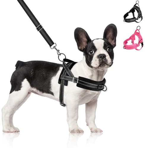 Eyein Hundegeschirr mit Leine für mittelgroße Kleine Hunde, Leichtgewicht | Weich Gepolstert & Reflektierend No-Pull Brustgeschirr mit 2 Leinenclips, verstellbar an Hals & Brust (Schwarz, L)