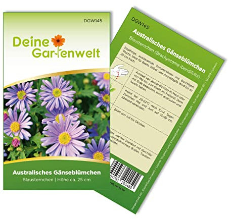 Australisches Gänseblümchen Blausternchen Samen - Brachyscome iberidifolia - Gänseblümchensamen - Blumensamen - Saatgut für 200 Pflanzen