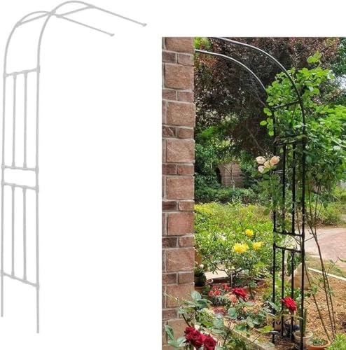 Arche de jardin en métal blanc 220 x 240 cm, support mural pour plantes grimpantes, montage facile et design robuste