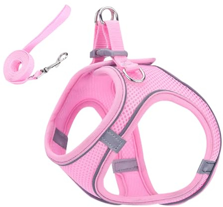 Renchey Fluchtsicheres Katzen Geschirr - Weiches Reflektierendes Mesh Geschirr Und Leine - Klein Mittel Groß für Wandern Camping Training Outdoor