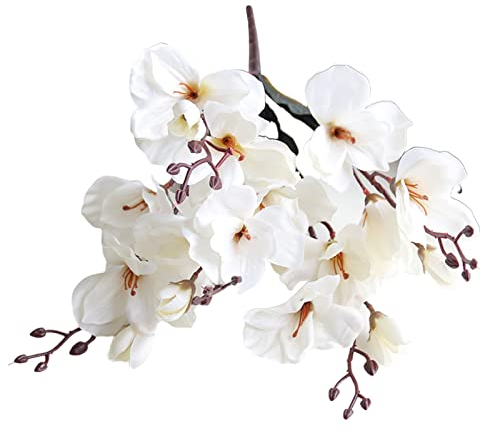 BELUAPI Künstliche Magnolien-Orchidee mit 5 Gabeln, 20 Köpfen, 4 Stück, Zweige, Kunstblumenstrauß für Zuhause, Hochzeit, Party, Garten, Büro, Dekoration, 43,2 cm, 62726601-9813-1901289171, Weiß