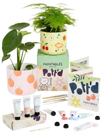 Pott’d Paintables Paint-a-Plant Pot Kit, DIY Pottery Painting Kit for Adults with Plant Pots, Acrylic Paints, Brushes, Pencil and Guide, Craft Kit for Adults, Home Décor