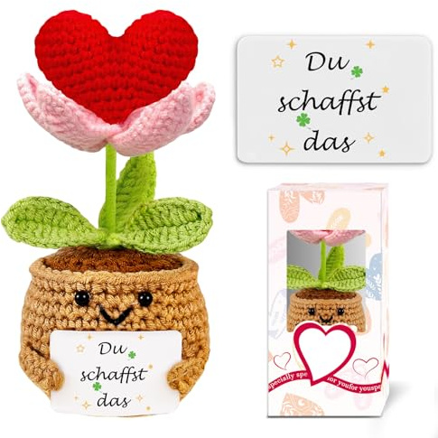 Geschenke Für Frauen Kleines Glücksbringer Prüfung Schulanfang Du Schaffst Das Gute Besserung Geschenke Gehäkelte Herz Deko Pocket Hug Schutzengel Mutmacher Geschenk Mädchen Freundin Home Decoration