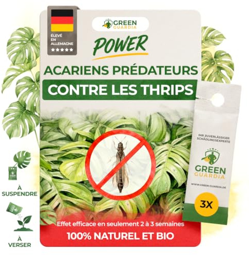GREEN GUARDIA Power Raubmilben contre les Thrips – 3 Sachets d’Acarien Prédateur Biologique – Protection des Plantes d’Intérieur et Ornementales