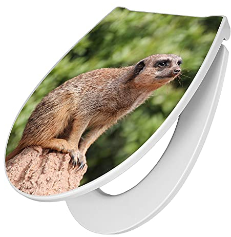 banjado Premium Toilettendeckel mit Absenkautomatik 45x38,4cm / WC Brille Soft Close/hygienischer Toilettendeckel/Klodeckel Duroplast mit Edelstahl Scharnier/Motiv Sitzendes Erdmännchen