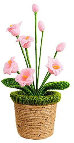Campana Orchidea Fiore Aroma Olio Essenziale Diffusore Uncinetto Piante In Vaso Gioielli Rack Handmade Bonsai Ornamenti Da Tavolo Decorazione