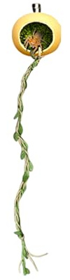 Décoration de cachette pour araignées sauteuses et Terrarium | Grotte magnétique pour araignées sauteuses – Terrariums Habitat Cachette Accessoires pour Reptiles Lisses Arthropodes