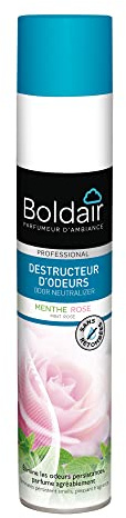 BOLDAIR - Destructeur d'odeurs parfumants Menthe rose - Absorbe, neutralise et détruit les mauvaises odeurs - Pulvérisation sèche - Efficacité longue durée - Aérosol - 500ml - Fabrication Française