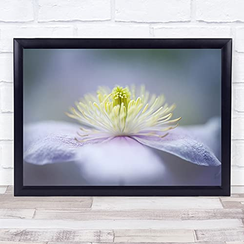 Mayleen Clematis Montana Pink Flower Flowers Spring Garden Wall Art Print