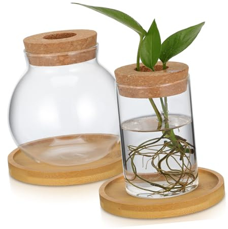 TOYANDONA 2pièces Support De Propagation Verre Lot de Vases pour Plantes Hydroponiques Pot Décoratif Terrarium Rond pour Culture Intérieure Table Bureau Salon