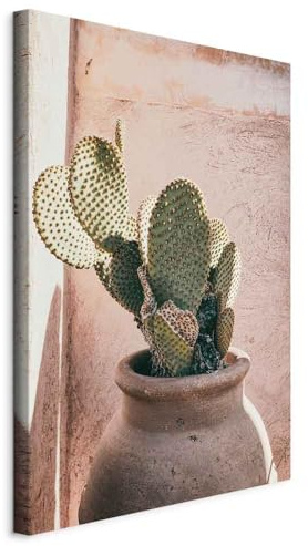 murando - Quadro Moderno per Soggiorno Grandi, Cactus, 40x60 cm | Chiodi Inclusi, 1 Pezzo, Stampa su Tela, Murale Arte, Resistenti Allo Sbiadimento, Produzione Europea