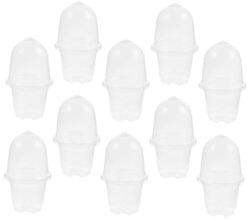 TINEASUR 10 Stück Transparente Anzuchttöpfe Mit Deckel Pet 4 Zoll Anzuchtkübel Für Sukkulenten Und Zimmerpflanzen Mit Abflusslöchern Zur Wurzelbelüftung Und Feuchtigkeitsregulierung