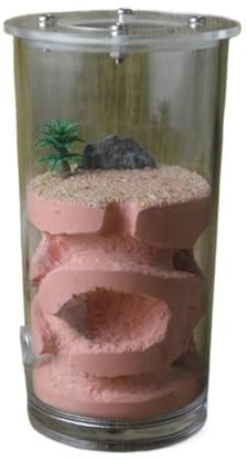 Ameisenfarm Formicarium Ameisennestfarm Gips Ameisenburg Fütterung Wasser Nest Lebensraum Ameisenfarm Ameisennest Burg Ameisenfarm für Draußen(Rood)
