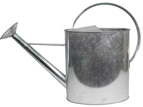 HOME IT® Annaffiatoio in Metallo Zincato 10L con Rosa Rimovibile – Classico Annaffiatoio da Giardino con Beccuccio Lungo, Facile da Usare e Pulire
