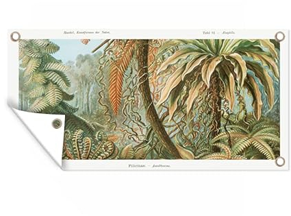 MuchoWow Outdoor-Poster Poster Wanddeko draußen Deko Garten Gartenposter 160x80 cm Vintage - Alte Meister - Farne - Pflanzen - Natur