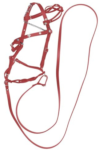 Horse Halter and Lead Rope Set - Premium Adjustable Horse Halter with Robust Lead Rope | Durable Nylon Halter for Training, Walking and Stable Use, Comfortable Fit for Everyone