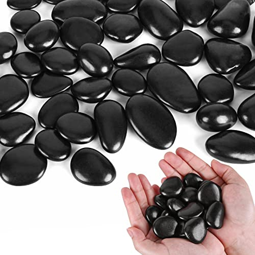 Ciottoli neri per piante d'appartamento 1,1 kg di piccole rocce di fiume 2,5 - 3,8 cm pietre decorative lucide per acquari, vasi per vasi, fioriere da giardino (1134 g)