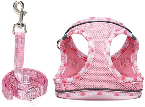 Hundegeschirr Kleine Hunde mit Leine, Step-in Geschirr Reflektierend Atmungsaktiv Brustgeschirr Anti Zug Sicherheitsgeschirr Katzengeschirr für Kleine Hunde, Katzen (Rosa, XXS)
