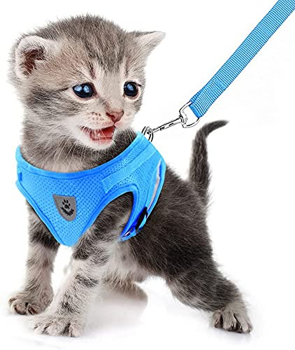 FEimaX Katzengeschirr Hundegeschirr mit Leine Ausbruchsicher Weich Mesh Welpengeschirr Reflektierende Verstellbare Katzen Weste für Kleine Hunde Katzen Chihuahua