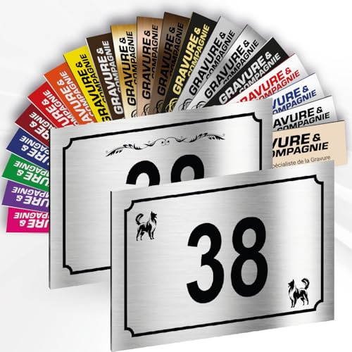 Hausnummer Schild – Dekorative personalisierte PVC Außenplatte mit gravierter Nummer & Logo/Motiv – Befestigung mit Klebefolie, Schrauben oder Abdeckkappen – 15 x 10 cm (Metallisch Alugrau + Design)