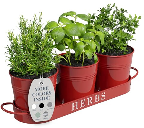 Barnyard Designs Juego de macetas de jardín de hierbas de granja con bandeja o caja de maceta para ventana de apartamento al aire libre, caja de maceta para alféizar de ventana, maceta de hierbas para