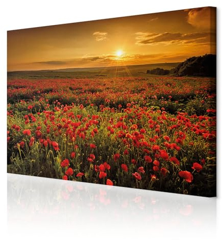decomonkey Wandbilder Landschaft 120x80 cm 1 Teilig Leinwandbilder Wanddeko | Strukturleinwand, Holzkeilrahmen, Bild auf Leinwand, Kunstdruck, Wohnzimmer, Wanddekoration, Mohnblumen, Blumen, Himmel