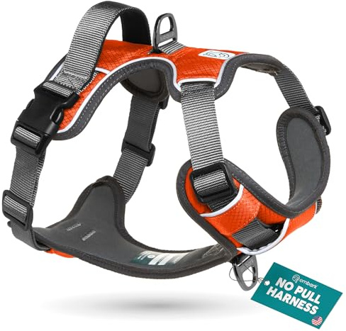 Embark Adventure No Pull Dog Harness, Heavy Duty Vest, Orange Medium