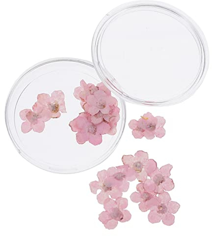 FOMIYES 1 Set 20Pcs Natural Forget- Me- Not Dried Flowers Dont Forget Me Dried Flower Real Dried Pressed Flowers Handmade DIY Makeup Nail Art Accessories （ Pink