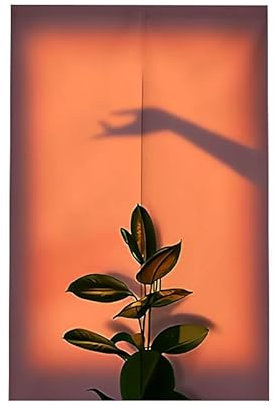 Türvorhang Orange Dunkelgrün Türvorhang Insektenschutz Polyester Raumteiler Vorhang mit Teleskopstange Vorhang Kurz Küchenvorhang Fliegenvorhang Terrassentür Waschbar Tür Vorhang 65x90cm