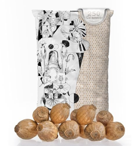 MyPoppies - Capsule di Papavero, Poppy Pods | Grandi & Senza Stelo | Essiccate | Materiale per Hobbistica & Decorazioni (250 g)