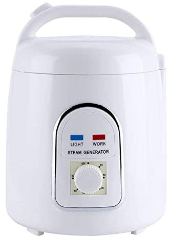 Sauna Vapeur 1.5L Portable Générateur de Sauna à Vapeur Pot Machine Antidéflagrante pour la Maison Spa Douche, Thérapie Corporelle Relaxation, Embellissement du Visage
