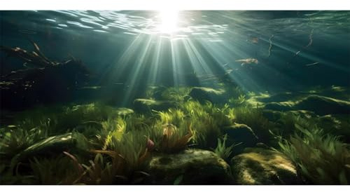 MIRRORANG 120x50cm Unterwasser Aquarium Hintergrund Wasserpflanze Sonne Terrarium Hintergrund Unterwasser Aquarium Hintergrund